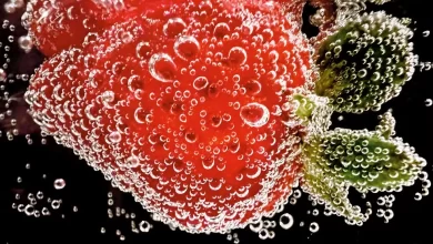 DIcas_para_tirar_fotos_de_perto