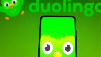 Duolingo_IA