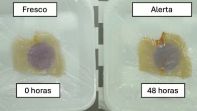 Tecnologia_embalagem