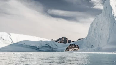 Mistério sob o gelo