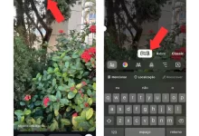 Instagram lança fonte exclusiva com caligrafia de Rosalía