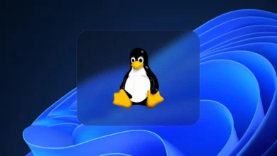 Falha de 14 anos no kernel Linux permite escapar de contêineres Docker e elevar privilégios