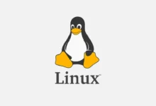 Agência dos EUA alerta para três falhas no Linux exploradas em ataques reais
