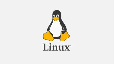 Agência dos EUA alerta para três falhas no Linux exploradas em ataques reais