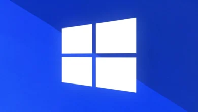 Falha no Steam para Windows permite obter privilégios máximos do sistema