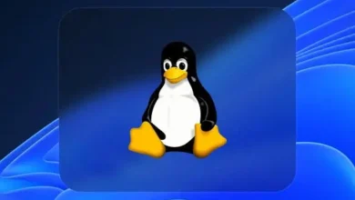 Falha no kernel Linux permite que máquina virtual ARM64 acesse memória do sistema hospedeiro