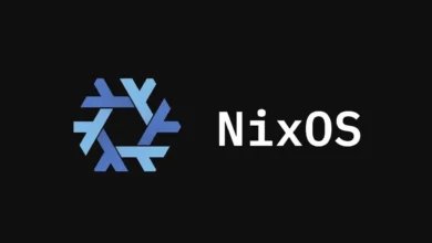 Holanda aposta no NixOS para criar ambiente digital soberano no governo