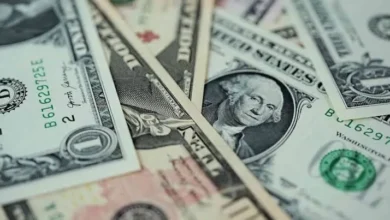 Thatch recebe US$ 108 milhões e alcança valor de mercado de US$ 1 bilhão