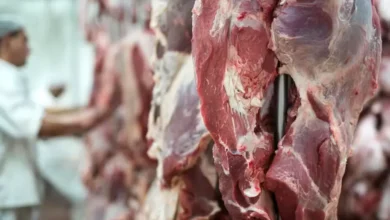 Exportações brasileiras de carnes caem 15% em setembro após redução das compras da China